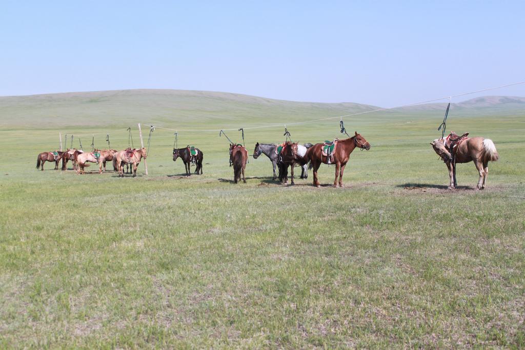 Nomad Horse Camp Guest House Nalayh Exterior foto