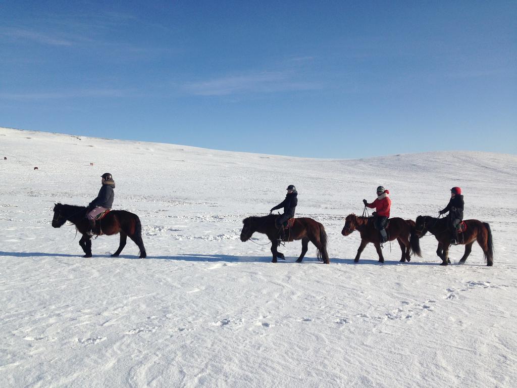 Nomad Horse Camp Guest House Nalayh Exterior foto